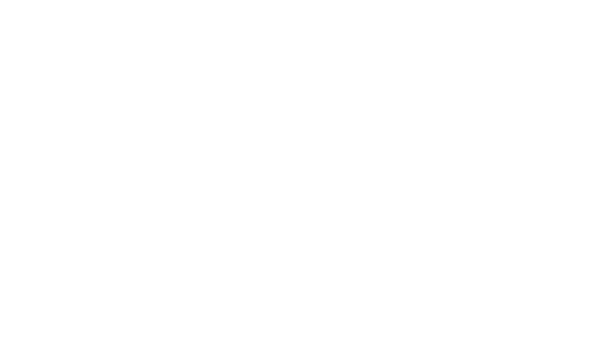 The Human Brand