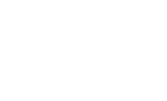 MVMT Watches